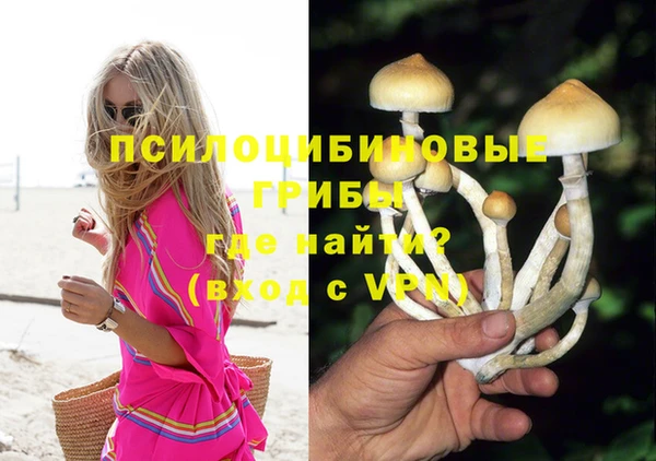 мет Армянск