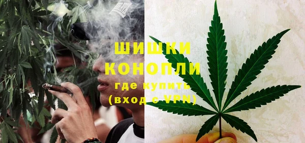 бошки Аркадак