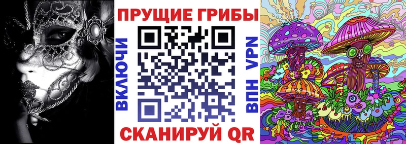 наркошоп  Бирск  Галлюциногенные грибы MAGIC MUSHROOMS 