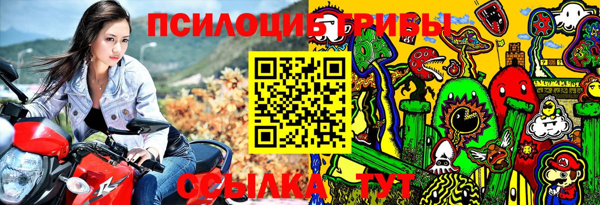Бирск  Псилоцибиновые грибы Magic Shrooms  Вход с VPN 
